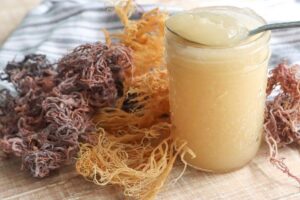 can you freeze sea moss gel in a glass jar